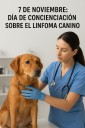 Día de Concienciación sobre el Linfoma Canino 