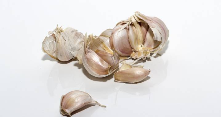 Bicarbonato, ajo y sábila, tres elementos para la salud que no pueden faltar en casa