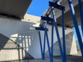 Continúa sin rescatar perrito abandonado en el Puente de la Paz; autoridades piden conciencia ciudadana