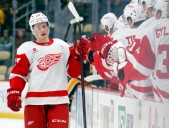 Detroit Red Wings Recall Nate Danielson