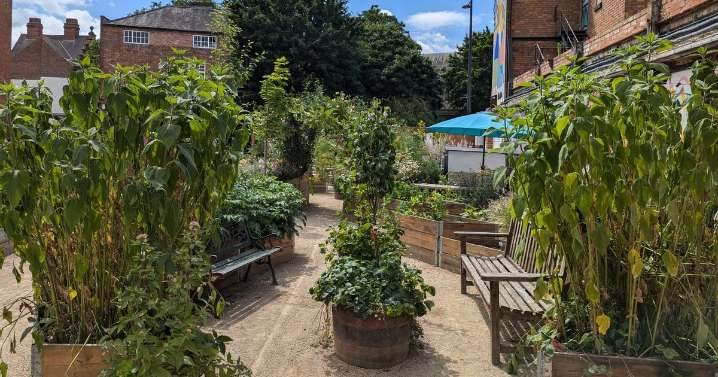 The council should keep its nose out when something finally does well in Derby