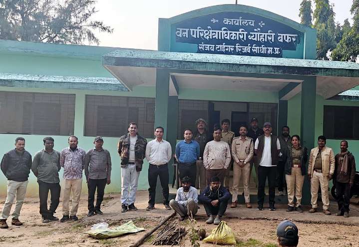 MP News: Tiger Falls Prey To Electric Trap Set By Poachers For Wild Boars In Sanjay Tiger Reserve; Two Held, Third Absconding