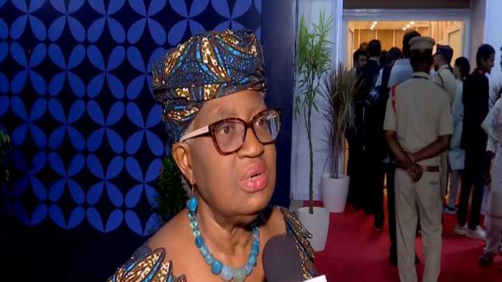 India’s rapid economic growth is linked to strong trade growth, says WTO director general