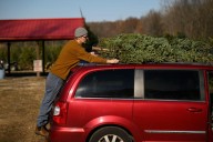 Michigan farms change tradition to meet high demand for Christmas trees