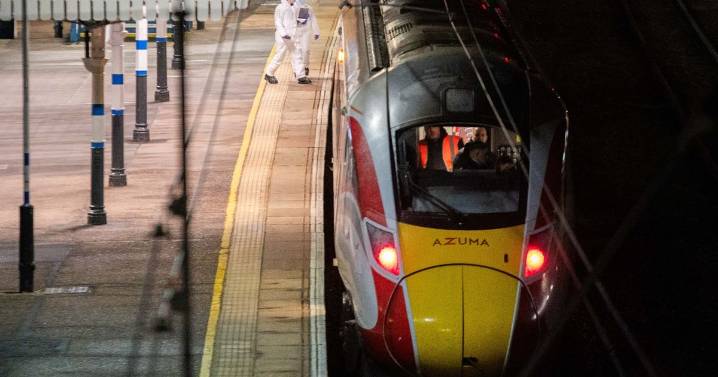 Full list of incidents train stabbing suspect is accused of in days before Huntingdon attacks