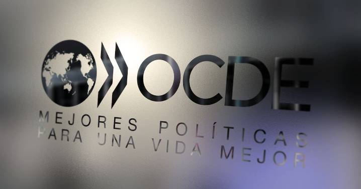 Ingreso a la OCDE: tras un duro informe, un funcionario clave llega a la Argentina