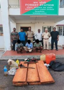 Forest Officials Seize Illegally Felled Timber and Tools in South Andaman