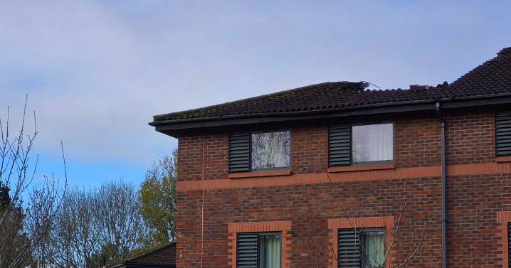 Warwick University fire: 'We could see flames coming out of the roof...my friend said we have to get out'