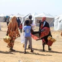 'Like a horror movie': 770 km of fear for those fleeing Sudan's El