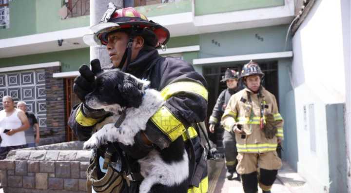 Serenos evitaron tragedia al retirar balones de gas y rescatar al perrito “Oreo” durante incendio en La Victoria