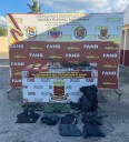 Desmantelan en Venezuela campamento del narcotráfico (+Foto)