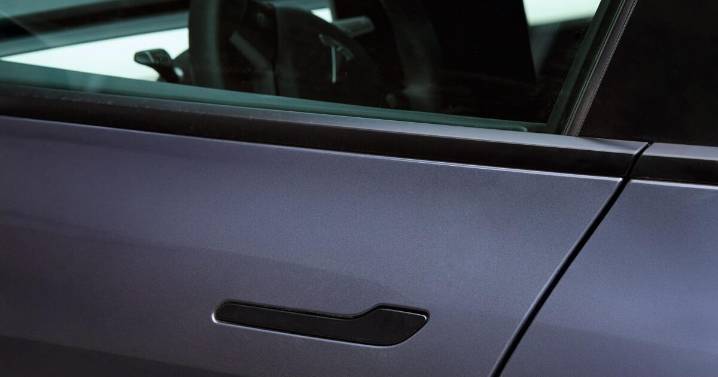 Parents describe 'agonizing' minutes as Tesla doors fail to open, trapping children in hot cars