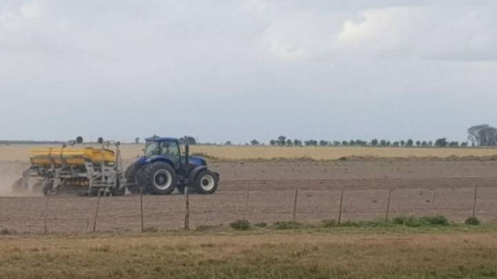 Ya se sembró un 30% de soja temprana en el centro