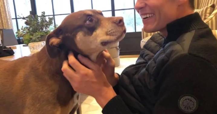 Tom Brady clonó a su perrita fallecida ¿en qué consiste el procedimiento?