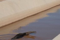 Cuidado del ambiente. Un dictamen en la causa por el Canal de La Patria podría convertirse en un hito legal