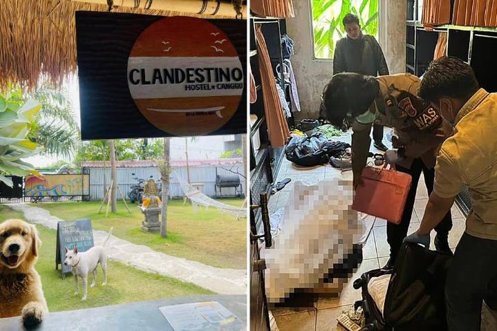 Expert weighs in on hotel safety after suspected mass poisoning in Bali