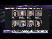 Democrats Break Ranks to Try and End Government Shutdown