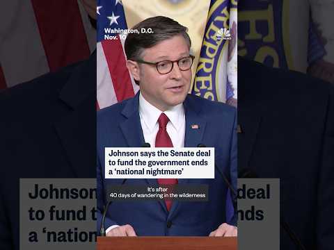 Speaker Johnson says the Senate deal to fund the government ends a 'national nightmare'