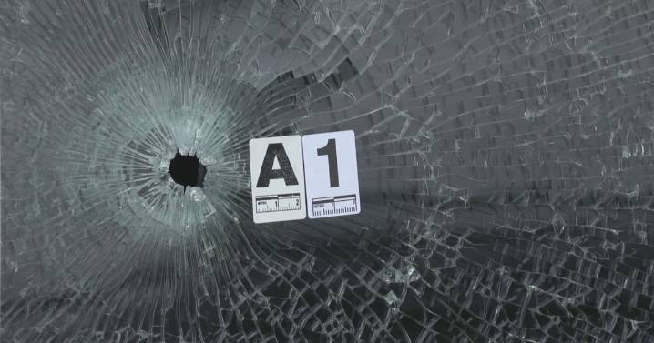 Immigration officials investigate 96 amid B.C. extortions