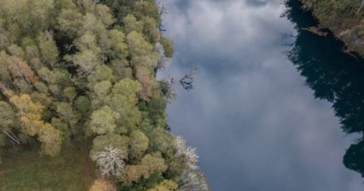 Un ritual fatal: la declaración de los padres de la adolescente que terminó fallecida en ceremonia mapuche de Los Ríos