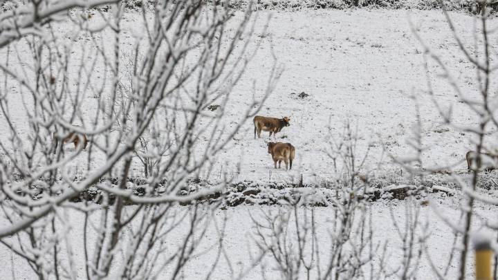 ¿Cuándo va a dejar de llover en Asturias? La previsión para el fin de semana de la Agencia Estatal de Meteorología