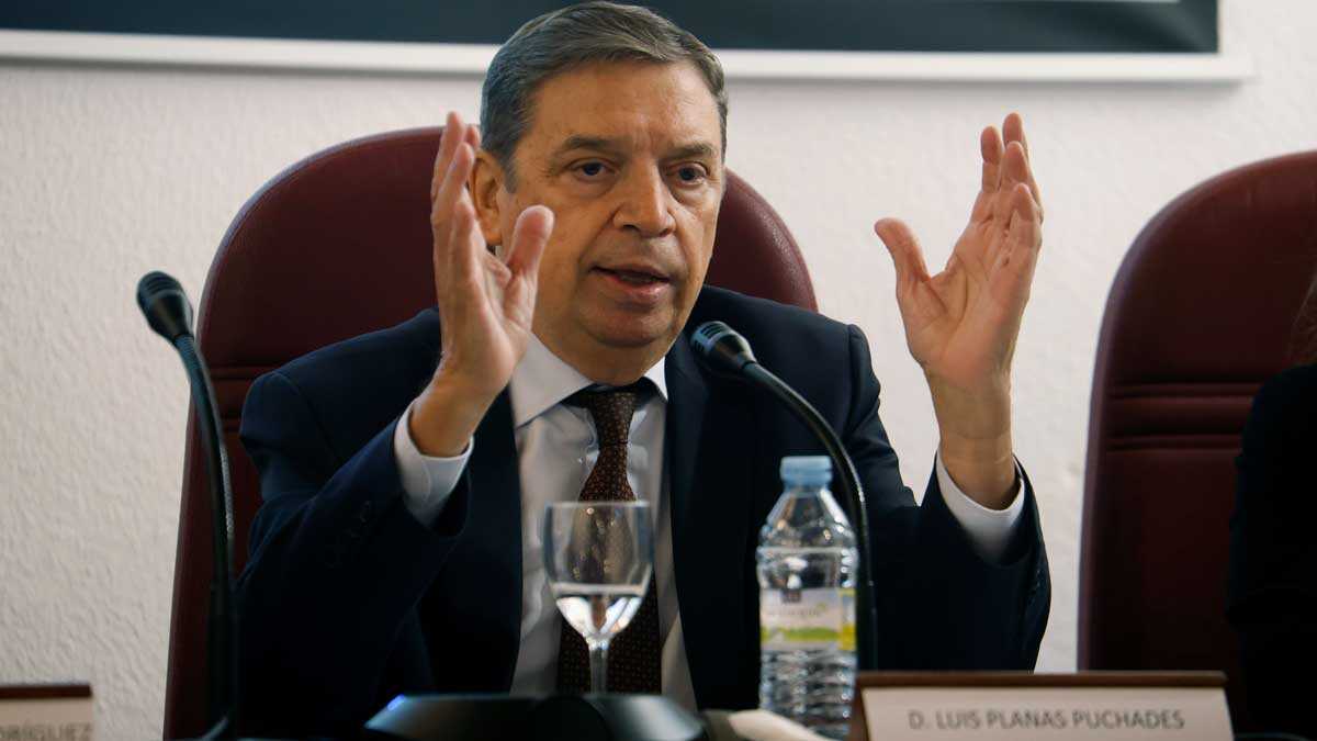 España detecta dos casos de peste porcina africana y activa controles estrictos en Cataluña