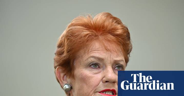 Pauline Hanson’s comments about Mehreen Faruqi unfit for ‘an afternoon tea’ but were not racist, court told