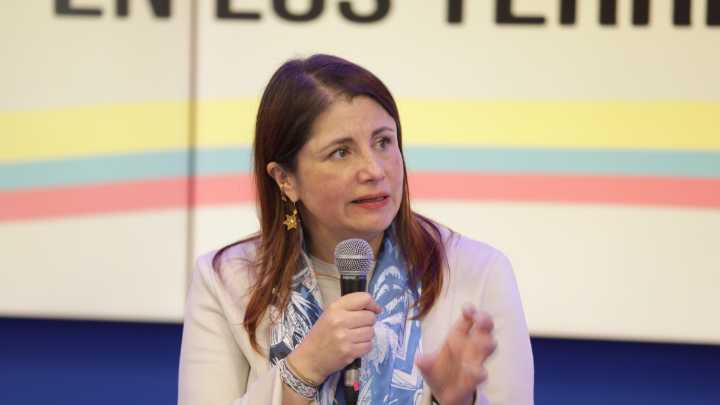 'Esta gobernanza criminal podría incidir en los procesos electorales': Defensora del Pueblo sobre expansión de los grupos armados