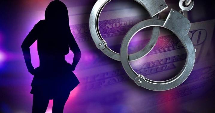 Sex worker, client & associate arrested after violent incident at Shallowford Rd. motel