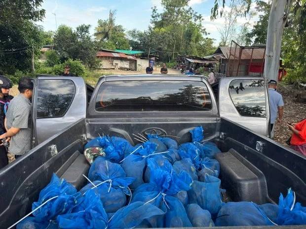 81 monkeys and meth found in car driven by suspected wildlife smugglers, rangers in Thailand say