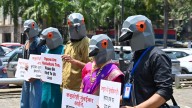 Pigeon feeding ban in Mumbai sparks religious and caste backlash : State of the World from NPR : NPR