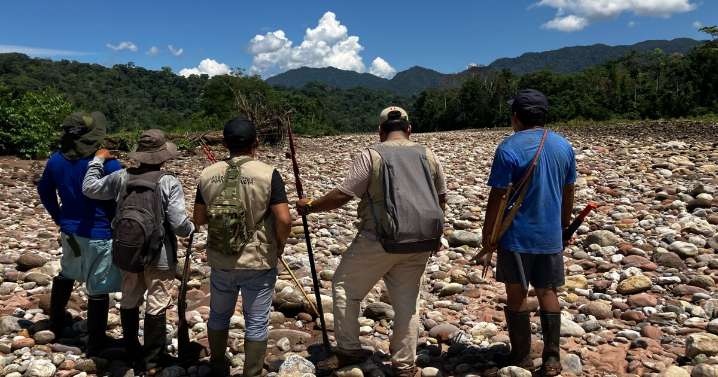 'We have no choice': Indigenous guards take on cocaine gangs in Peru's Amazon