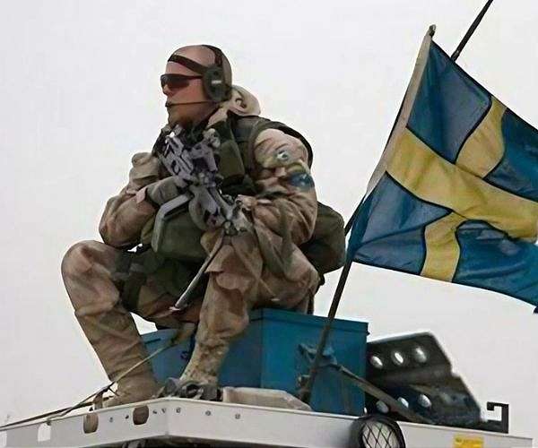 Sweden, Ukraine to develop new weapons together