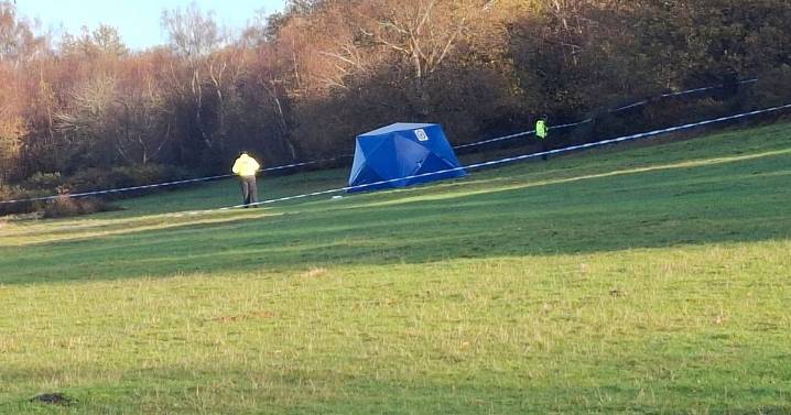 Brummies react after man dies in 'very sad' Sutton Park incident