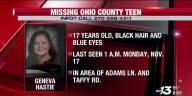 Police searching for missing Ohio County teen