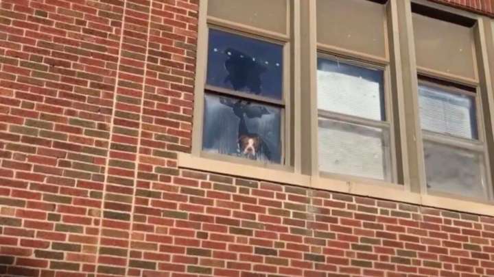 Missouri Pit Bull Survives Days In An Abandoned School And Finally Finds Hope