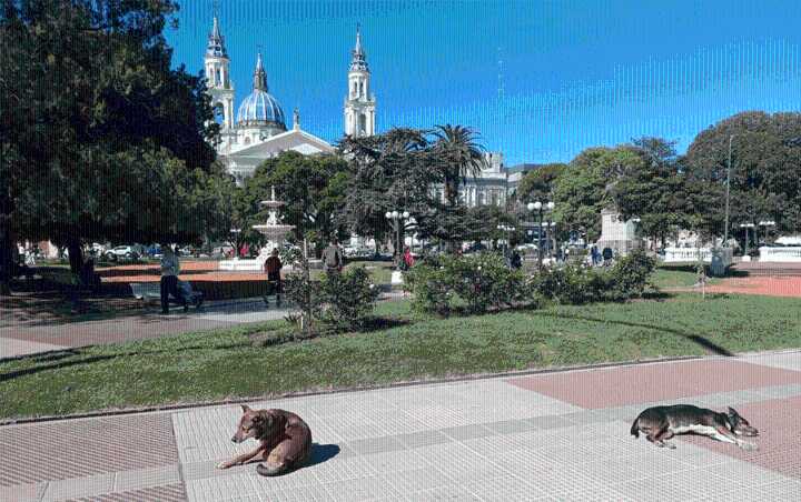 Cómo estará el tiempo hoy sábado en Entre Ríos