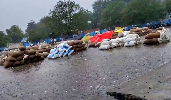 Sudden rains soak cotton, maize in Warangal’s Enumamula market