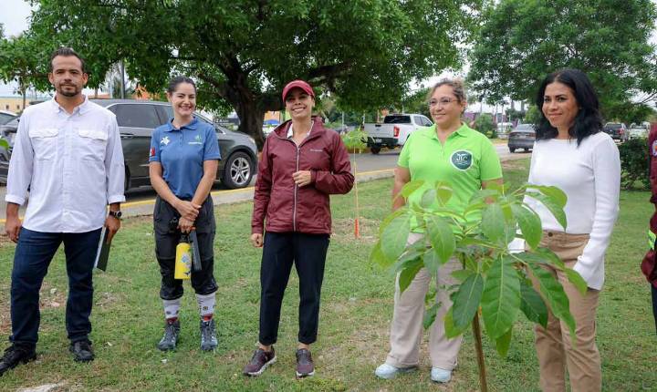 Cancún avanza hacia un a ciudad mas verde: Ana Paty Peralta