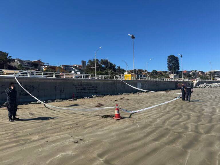 Transeúntes encontraron un pie humano en playa de Los Vilos
