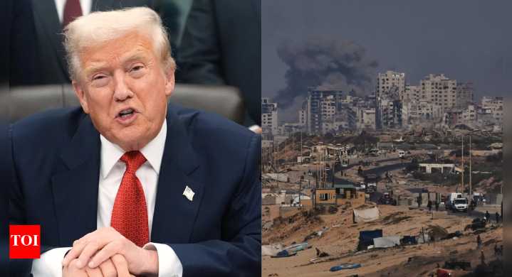 Gaza vote on Monday: UNSC to decide on Trump's peace plan