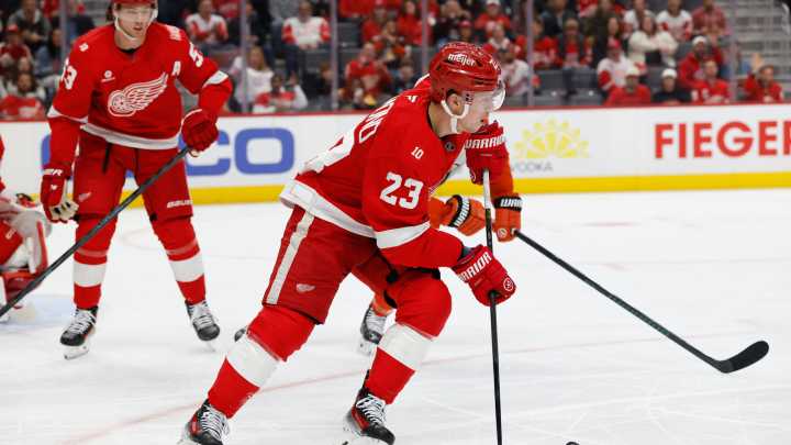 Detroit Red Wings down Anaheim Ducks to snap 3