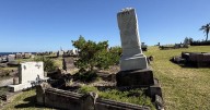 Wollongong cemeteries will be inspected for safety risks.