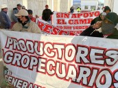 Ingobernabilidad del Bienestar