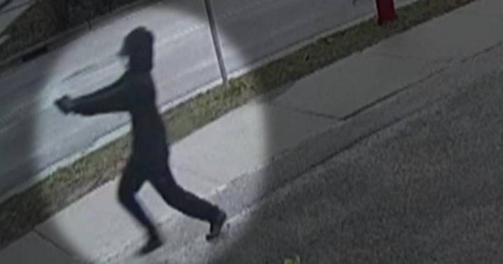 The attempted murder of Nicki Lenway: A look at the evidence