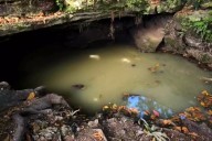 CAPA investiga posible fuga de drenaje en cenote de un parque en Cozumel