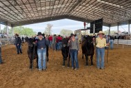 Local students take on the Beef Bonanza
