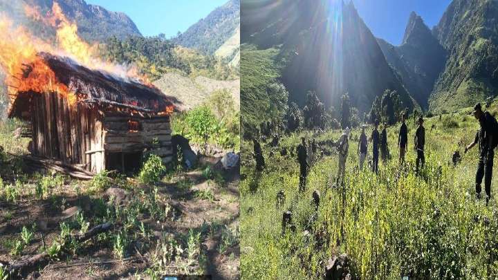 Manipur security forces destroy over 476 acres of illegal poppy plantations