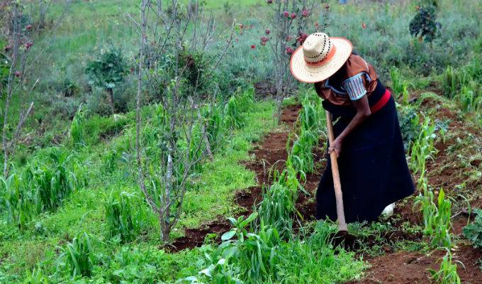 Avanza Edomex en reconocimiento de derechos agrarios de mujeres