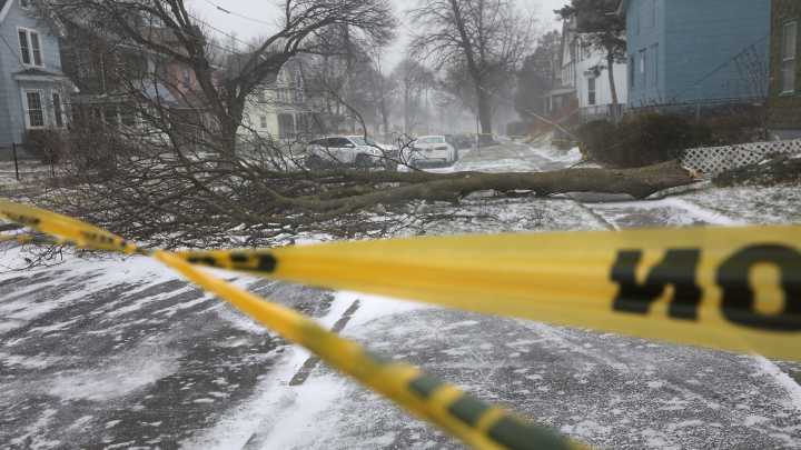 Will there be power outages on Thanksgiving in NY? What you need to know